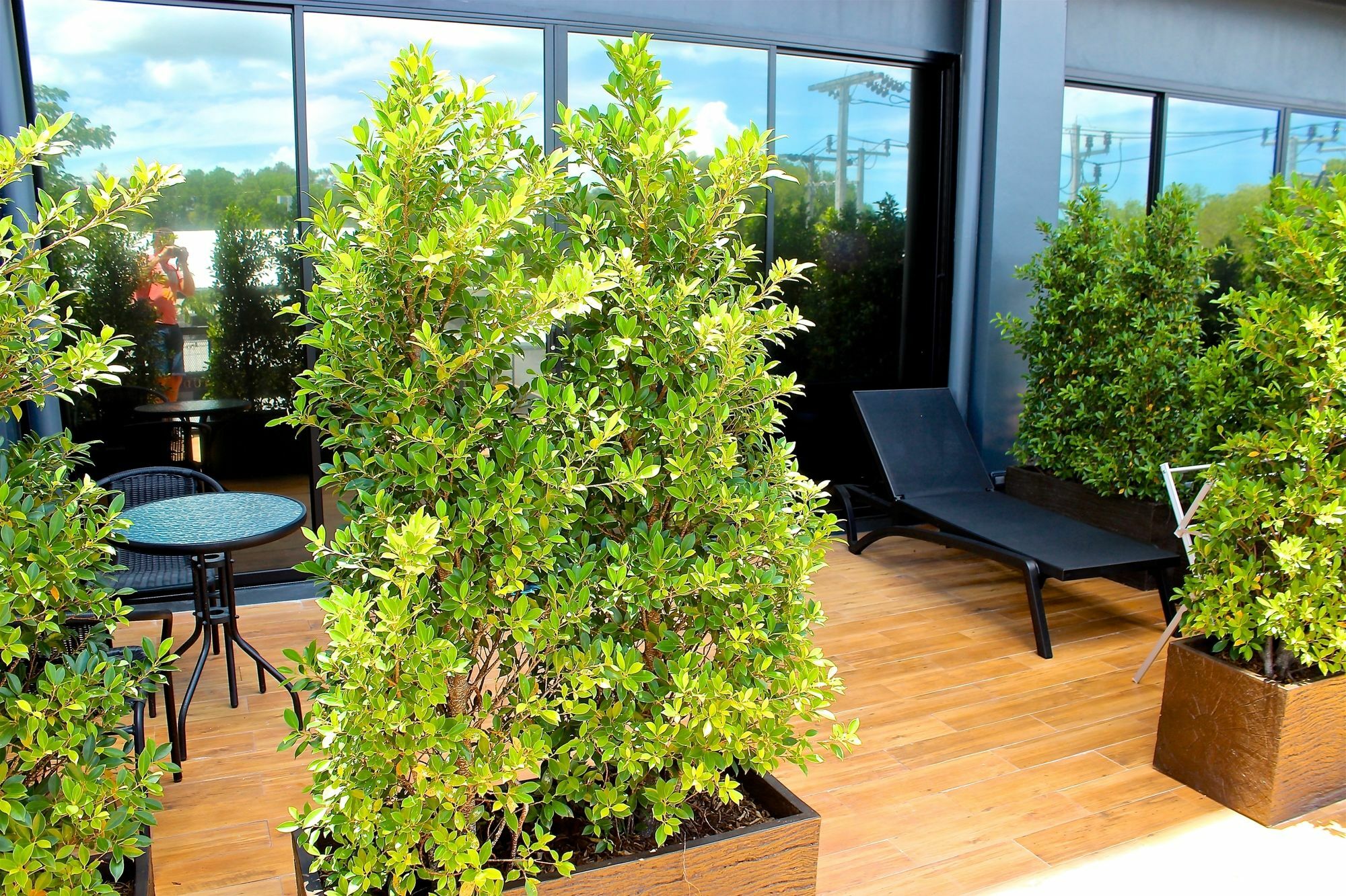 Little Paris Phuket Apartment Ngoại thất bức ảnh